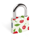 Zámek visací Tokoz s potiskem